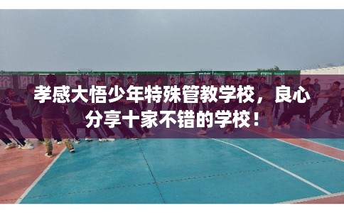 孝感大悟少年特殊管教学校，良心分享十家不错的学校！