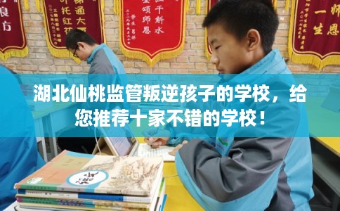 湖北仙桃监管叛逆孩子的学校，给您推荐十家不错的学校！