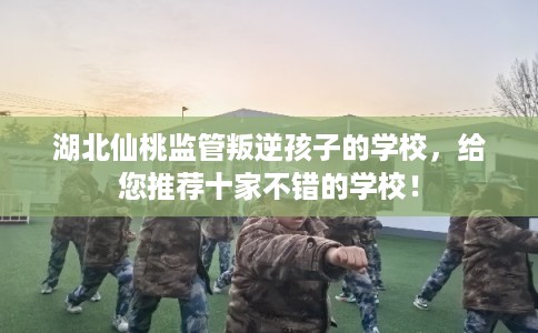 湖北仙桃监管叛逆孩子的学校，给您推荐十家不错的学校！
