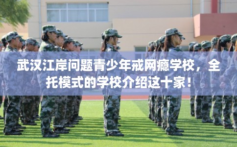 武汉江岸问题青少年戒网瘾学校，全托模式的学校介绍这十家！