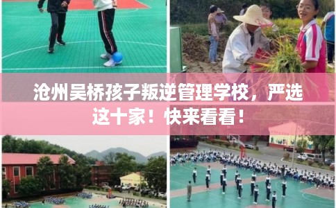 沧州吴桥孩子叛逆管理学校，严选这十家！快来看看！