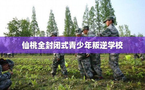 仙桃全封闭式青少年叛逆学校