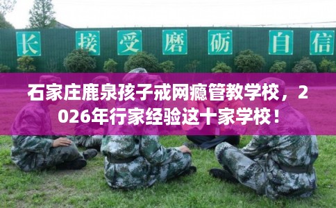 石家庄鹿泉孩子戒网瘾管教学校，2026年行家经验这十家学校！