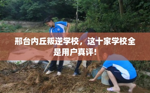 邢台内丘叛逆学校，这十家学校全是用户真评!