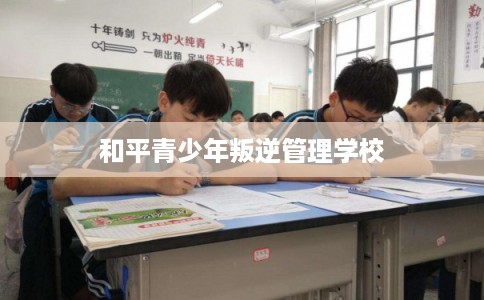 和平青少年叛逆管理学校