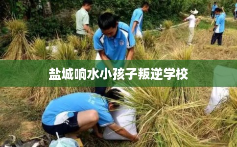 盐城响水小孩子叛逆学校