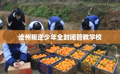 沧州叛逆少年全封闭管教学校