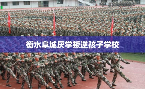 衡水阜城厌学叛逆孩子学校