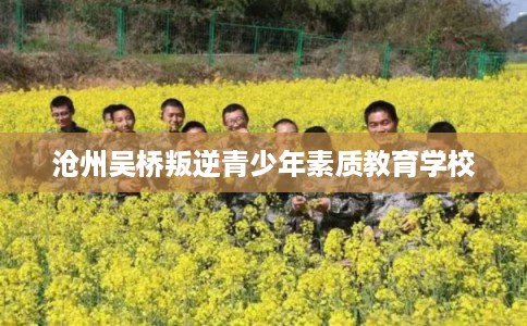 沧州吴桥叛逆青少年素质教育学校 沧州吴桥叛逆青少年素质教育学校