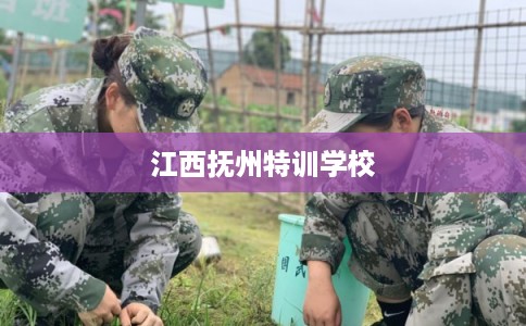 江西抚州特训学校