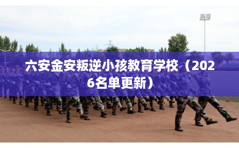 六安金安叛逆小孩教育学校（2026名单更新）