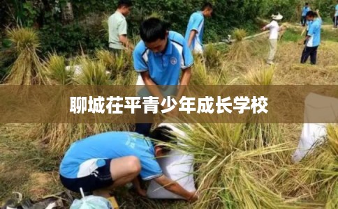 聊城茌平青少年成长学校 聊城茌平青少年成长学校