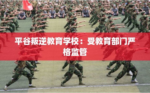 平谷叛逆教育学校：受教育部门严格监管