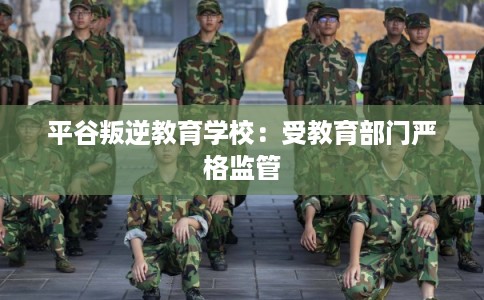 平谷叛逆教育学校：受教育部门严格监管