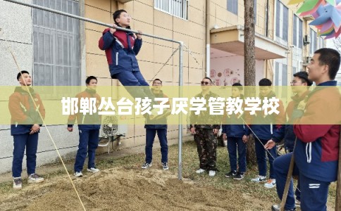 邯郸丛台孩子厌学管教学校
