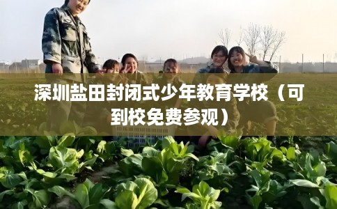 深圳盐田封闭式少年教育学校（可到校免费参观）