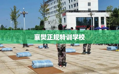 襄樊正规特训学校