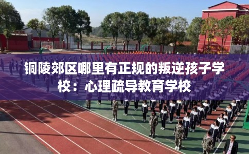 铜陵郊区哪里有正规的叛逆孩子学校：心理疏导教育学校