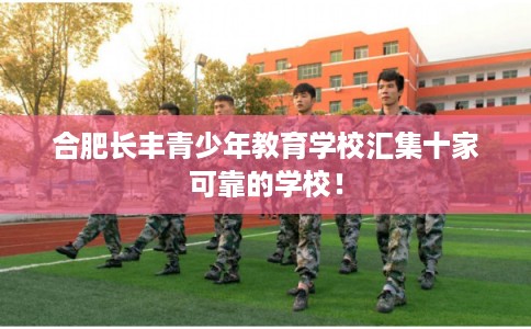 合肥长丰青少年教育学校汇集十家可靠的学校！