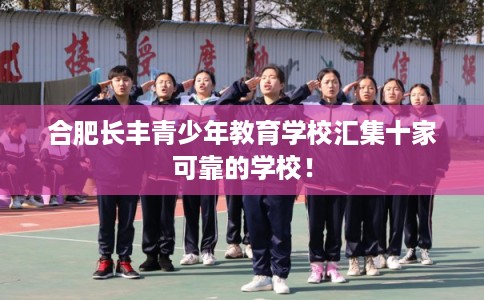 合肥长丰青少年教育学校汇集十家可靠的学校！