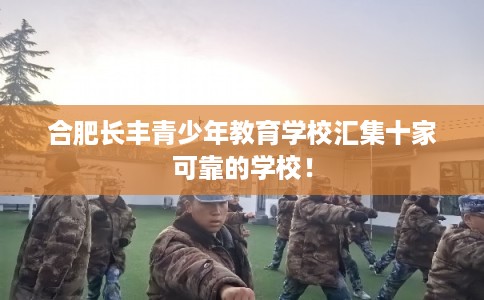 合肥长丰青少年教育学校汇集十家可靠的学校！