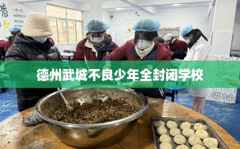 德州武城不良少年全封闭学校