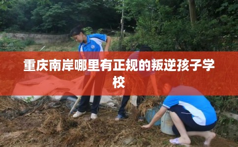 重庆南岸哪里有正规的叛逆孩子学校