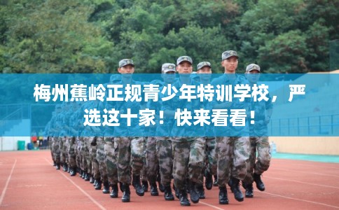 梅州蕉岭正规青少年特训学校，严选这十家！快来看看！