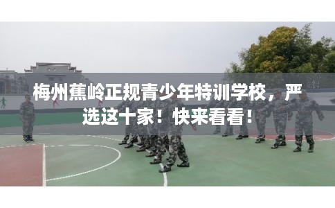 梅州蕉岭正规青少年特训学校，严选这十家！快来看看！