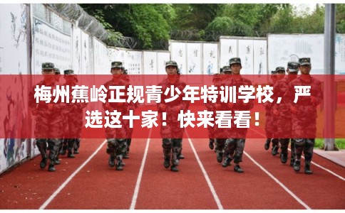 梅州蕉岭正规青少年特训学校，严选这十家！快来看看！