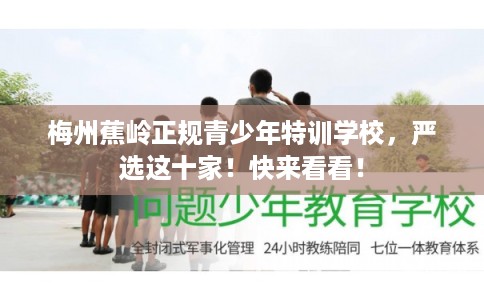 梅州蕉岭正规青少年特训学校，严选这十家！快来看看！