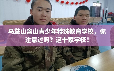 马鞍山含山青少年特殊教育学校，你注意过吗？这十家学校！
