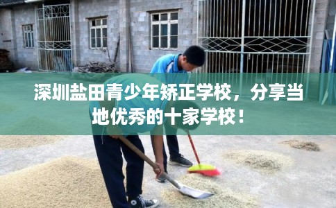 深圳盐田青少年矫正学校，分享当地优秀的十家学校！
