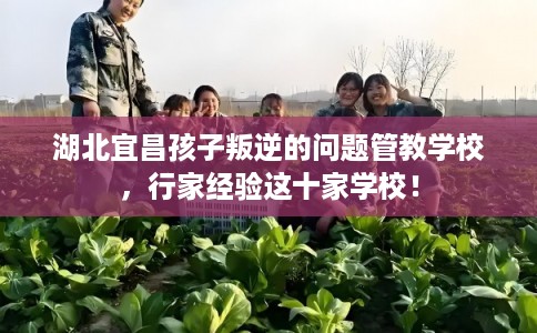 湖北宜昌孩子叛逆的问题管教学校，行家经验这十家学校！