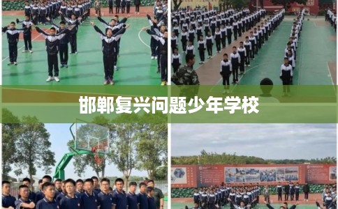 邯郸复兴问题少年学校