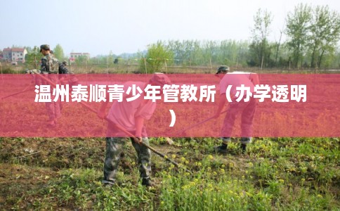 温州泰顺青少年管教所（办学透明）