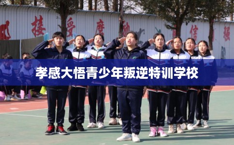 孝感大悟青少年叛逆特训学校 孝感大悟青少年叛逆特训学校