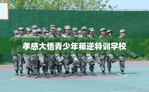 孝感大悟青少年叛逆特训学校 孝感大悟青少年叛逆特训学校
