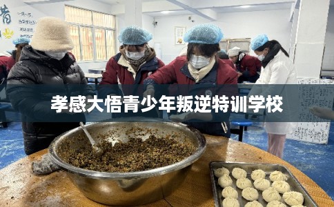 孝感大悟青少年叛逆特训学校