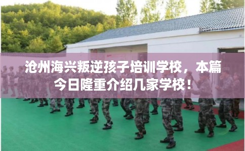 沧州海兴叛逆孩子培训学校，本篇今日隆重介绍几家学校！