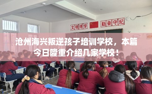 沧州海兴叛逆孩子培训学校，本篇今日隆重介绍几家学校！
