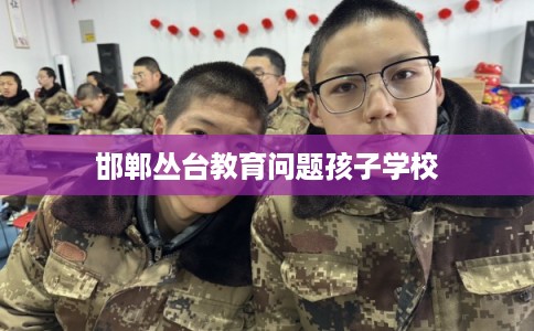 邯郸丛台教育问题孩子学校