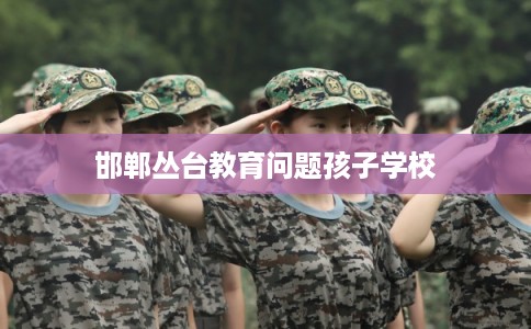 邯郸丛台教育问题孩子学校