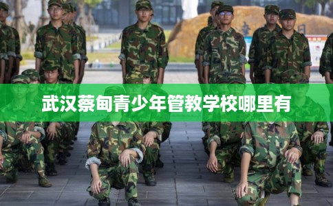 武汉蔡甸青少年管教学校哪里有