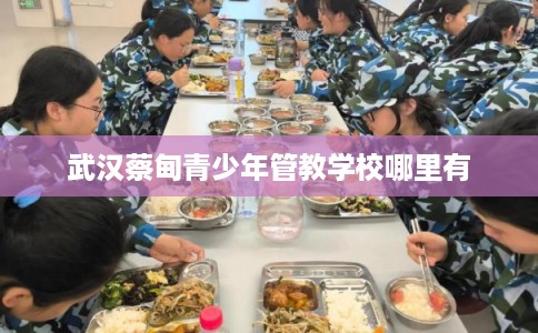 武汉蔡甸青少年管教学校哪里有