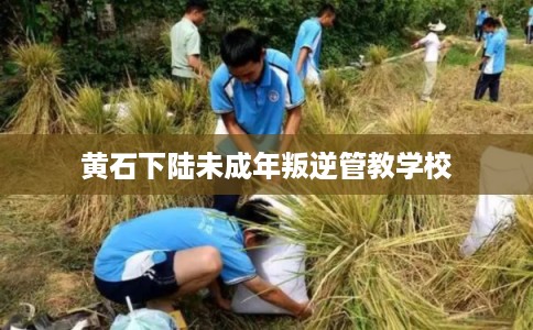 黄石下陆未成年叛逆管教学校