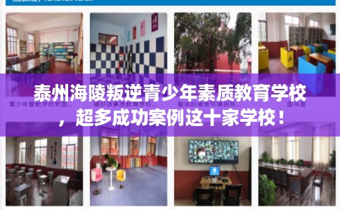 泰州海陵叛逆青少年素质教育学校，超多成功案例这十家学校！