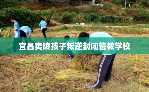 宜昌夷陵孩子叛逆封闭管教学校 宜昌夷陵孩子叛逆封闭管教学校