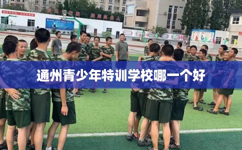 通州青少年特训学校哪一个好
