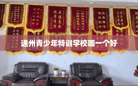 通州青少年特训学校哪一个好